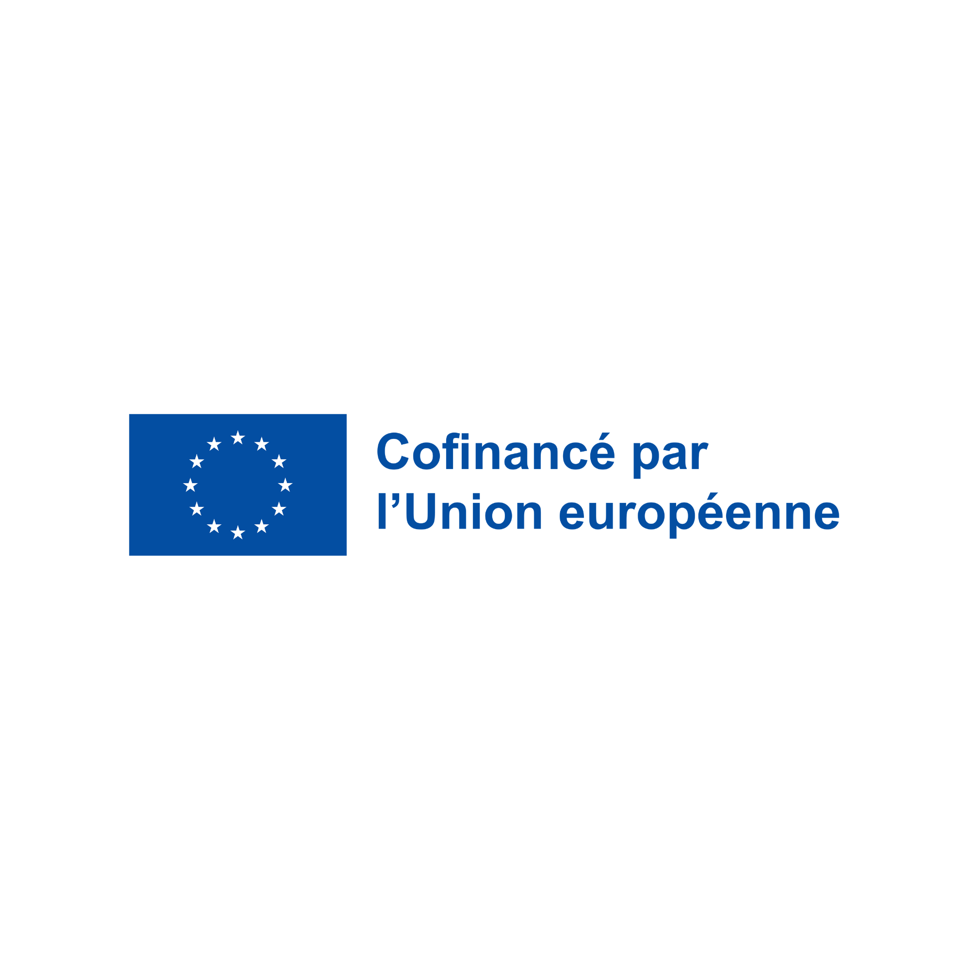 Sans titre